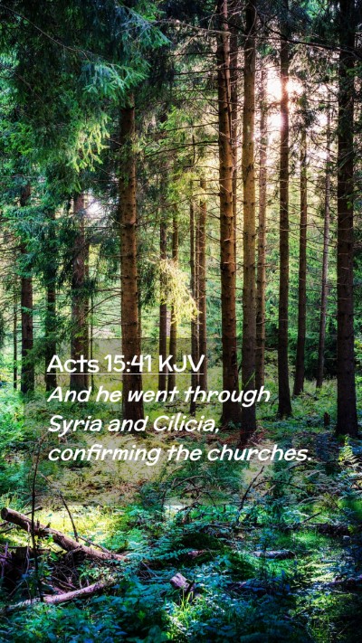 Picture 02 - Acts 15:41 KJV Mobile Phone Wallpaper - And he went through Syria and Cilicia, confirming - Mobile Bible Verse Wallpaper