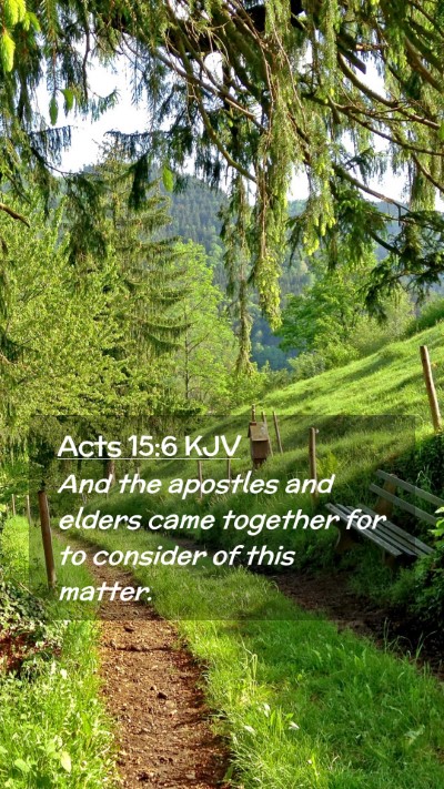 Picture 02 - Acts 15:6 KJV Mobile Phone Wallpaper - And the apostles and elders came together for to - Mobile Bible Verse Wallpaper