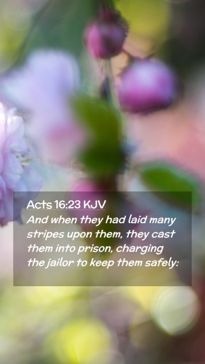 Picture 02 - Acts 16:23 KJV Mobile Phone Wallpaper - And when they had laid many stripes upon them, - Mobile Bible Verse Wallpaper