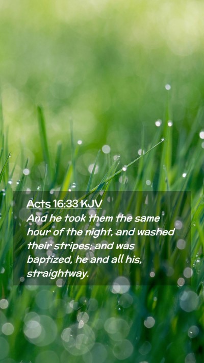 Picture 02 - Acts 16:33 KJV Mobile Phone Wallpaper - And he took them the same hour of the night, and - Mobile Bible Verse Wallpaper