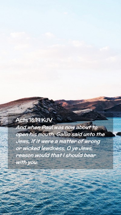 Picture 02 - Acts 18:14 KJV Mobile Phone Wallpaper - And when Paul was now about to open his mouth, - Mobile Bible Verse Wallpaper
