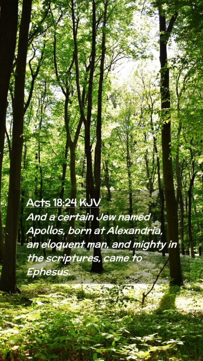 Picture 02 - Acts 18:24 KJV Mobile Phone Wallpaper - And a certain Jew named Apollos, born at - Mobile Bible Verse Wallpaper