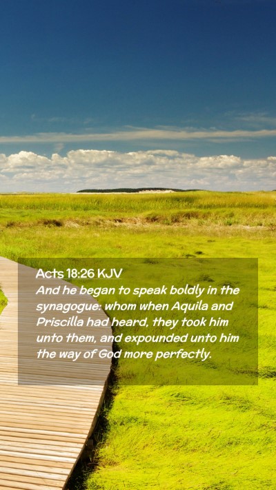 Picture 02 - Acts 18:26 KJV Mobile Phone Wallpaper - And he began to speak boldly in the synagogue: - Mobile Bible Verse Wallpaper