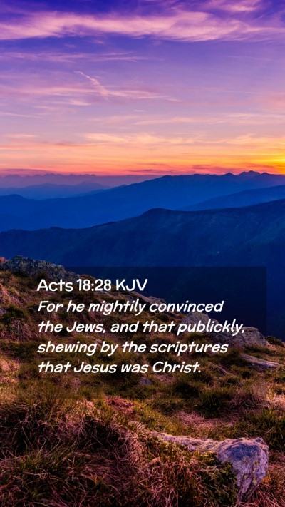 Picture 02 - Acts 18:28 KJV Mobile Phone Wallpaper - For he mightily convinced the Jews, and that - Mobile Bible Verse Wallpaper