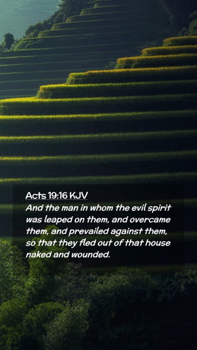 Picture 02 - Acts 19:16 KJV Mobile Phone Wallpaper - And the man in whom the evil spirit was leaped on - Mobile Bible Verse Wallpaper