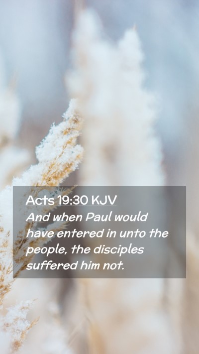 Picture 02 - Acts 19:30 KJV Mobile Phone Wallpaper - And when Paul would have entered in unto the - Mobile Bible Verse Wallpaper