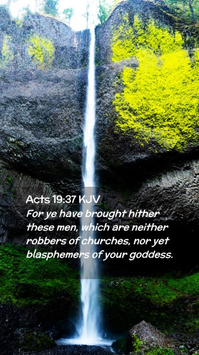 Picture 02 - Acts 19:37 KJV Mobile Phone Wallpaper - For ye have brought hither these men, which are - Mobile Bible Verse Wallpaper