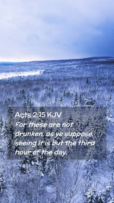Picture 02 - Acts 2:15 KJV Mobile Phone Wallpaper - For these are not drunken, as ye suppose, seeing - Mobile Bible Verse Wallpaper