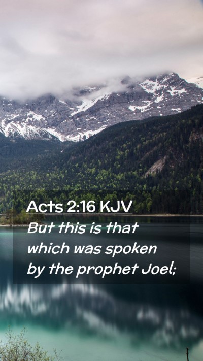 Picture 02 - Acts 2:16 KJV Mobile Phone Wallpaper - But this is that which was spoken by the prophet - Mobile Bible Verse Wallpaper