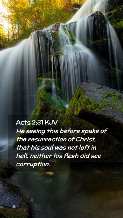 Picture 02 - Acts 2:31 KJV Mobile Phone Wallpaper - He seeing this before spake of the resurrection - Mobile Bible Verse Wallpaper