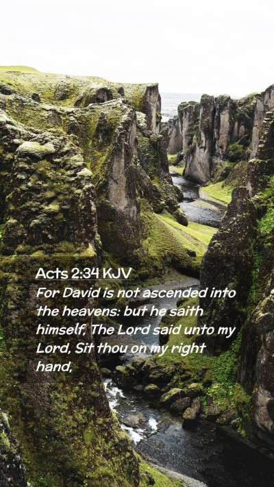 Picture 02 - Acts 2:34 KJV Mobile Phone Wallpaper - For David is not ascended into the heavens: but - Mobile Bible Verse Wallpaper