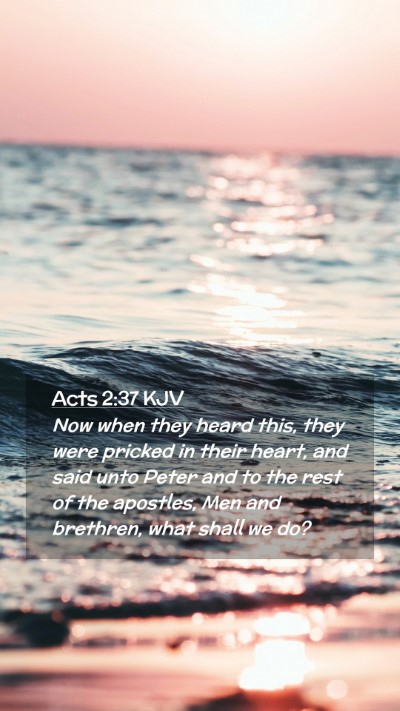 Picture 02 - Acts 2:37 KJV Mobile Phone Wallpaper - Now when they heard this, they were pricked in - Mobile Bible Verse Wallpaper