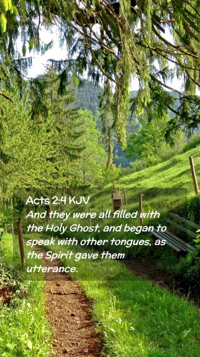 Picture 02 - Acts 2:4 KJV Mobile Phone Wallpaper - And they were all filled with the Holy Ghost, and - Mobile Bible Verse Wallpaper