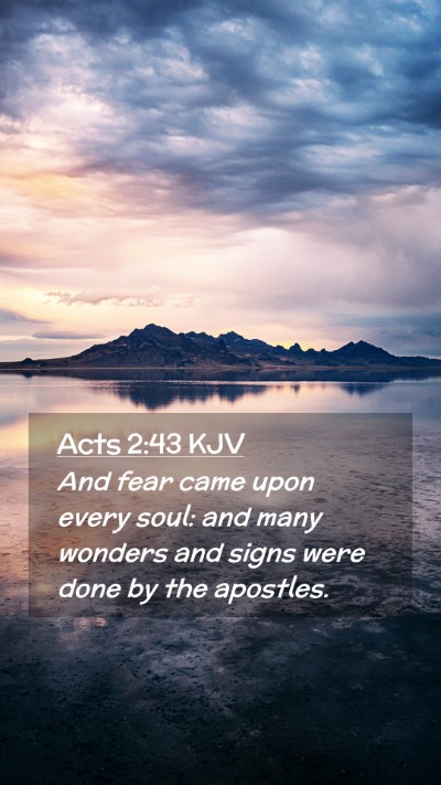 Picture 02 - Acts 2:43 KJV Mobile Phone Wallpaper - And fear came upon every soul: and many wonders - Mobile Bible Verse Wallpaper