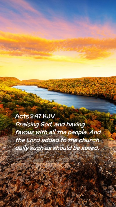 Picture 02 - Acts 2:47 KJV Mobile Phone Wallpaper - Praising God, and having favour with all the - Mobile Bible Verse Wallpaper
