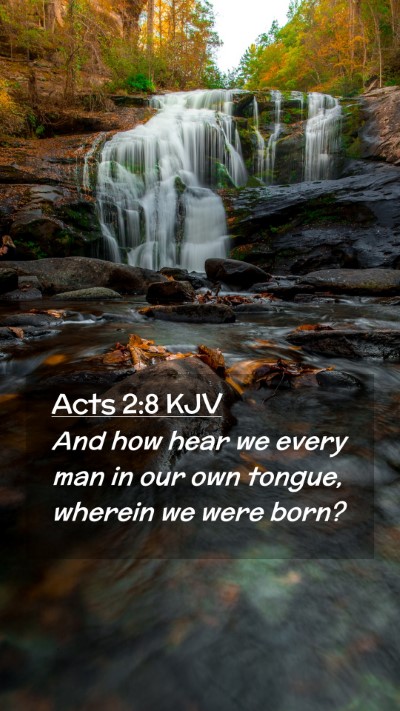 Picture 02 - Acts 2:8 KJV Mobile Phone Wallpaper - And how hear we every man in our own tongue, - Mobile Bible Verse Wallpaper