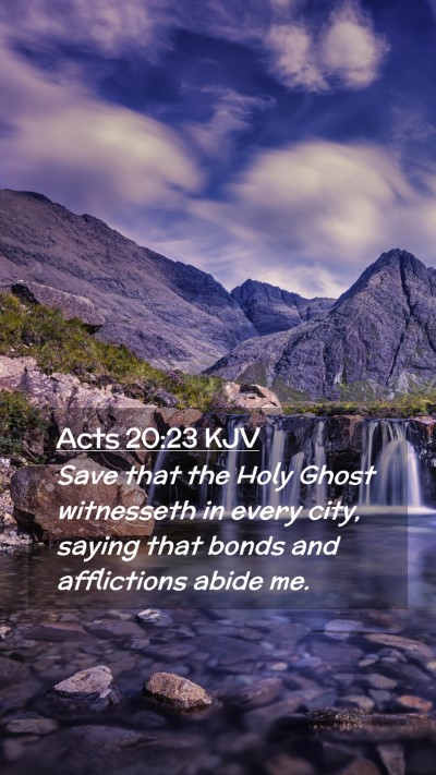 Picture 02 - Acts 20:23 KJV Mobile Phone Wallpaper - Save that the Holy Ghost witnesseth in every - Mobile Bible Verse Wallpaper