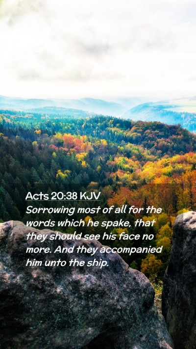 Picture 02 - Acts 20:38 KJV Mobile Phone Wallpaper - Sorrowing most of all for the words which he - Mobile Bible Verse Wallpaper