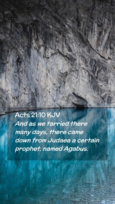 Picture 02 - Acts 21:10 KJV Mobile Phone Wallpaper - And as we tarried there many days, there came - Mobile Bible Verse Wallpaper