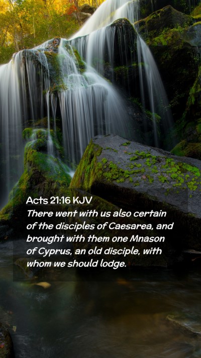 Picture 02 - Acts 21:16 KJV Mobile Phone Wallpaper - There went with us also certain of the disciples - Mobile Bible Verse Wallpaper