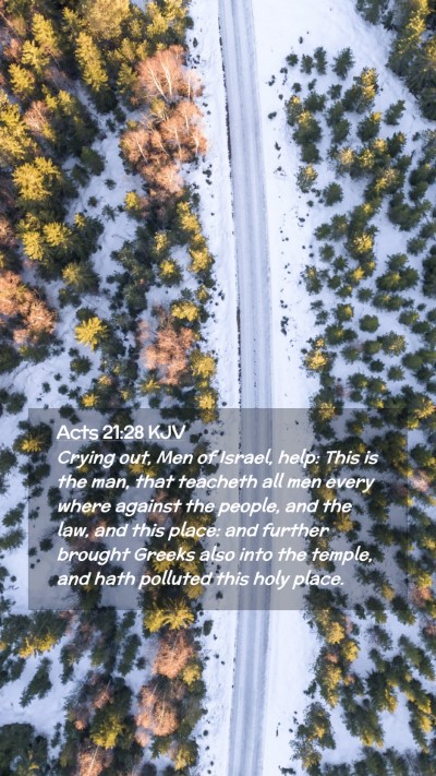 Picture 02 - Acts 21:28 KJV Mobile Phone Wallpaper - Crying out, Men of Israel, help: This is the man, - Mobile Bible Verse Wallpaper