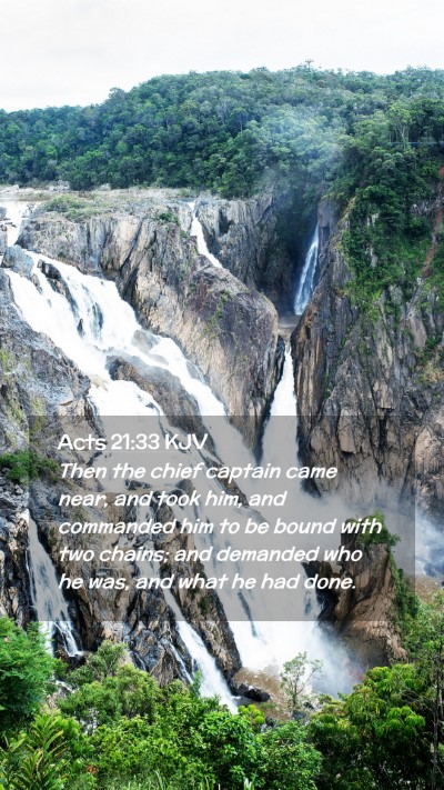 Picture 02 - Acts 21:33 KJV Mobile Phone Wallpaper - Then the chief captain came near, and took him, - Mobile Bible Verse Wallpaper