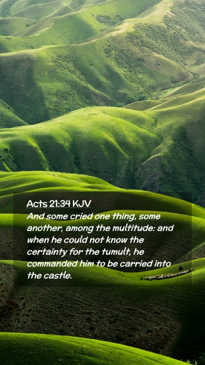 Picture 02 - Acts 21:34 KJV Mobile Phone Wallpaper - And some cried one thing, some another, among the - Mobile Bible Verse Wallpaper