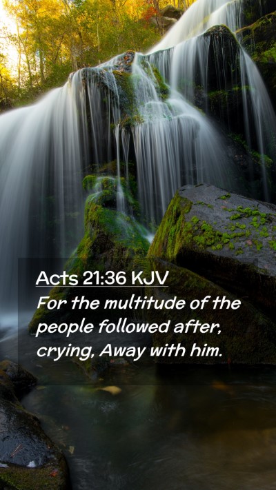 Picture 02 - Acts 21:36 KJV Mobile Phone Wallpaper - For the multitude of the people followed after, - Mobile Bible Verse Wallpaper