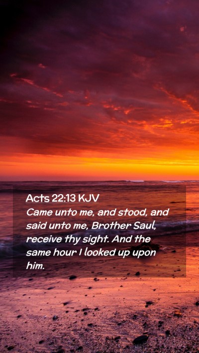 Picture 02 - Acts 22:13 KJV Mobile Phone Wallpaper - Came unto me, and stood, and said unto me, - Mobile Bible Verse Wallpaper