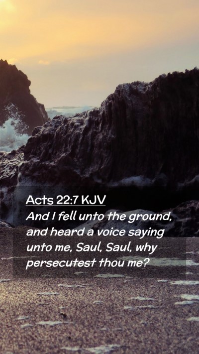 Picture 02 - Acts 22:7 KJV Mobile Phone Wallpaper - And I fell unto the ground, and heard a voice - Mobile Bible Verse Wallpaper