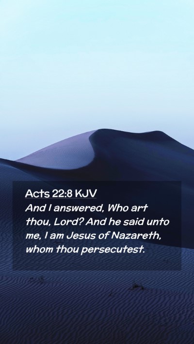 Picture 02 - Acts 22:8 KJV Mobile Phone Wallpaper - And I answered, Who art thou, Lord? And he said - Mobile Bible Verse Wallpaper