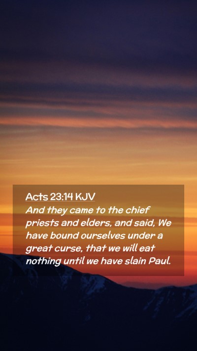 Picture 02 - Acts 23:14 KJV Mobile Phone Wallpaper - And they came to the chief priests and elders, - Mobile Bible Verse Wallpaper
