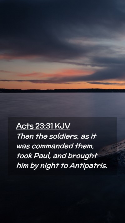 Picture 02 - Acts 23:31 KJV Mobile Phone Wallpaper - Then the soldiers, as it was commanded them, took - Mobile Bible Verse Wallpaper