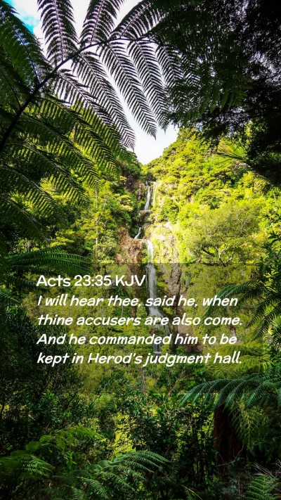 Picture 02 - Acts 23:35 KJV Mobile Phone Wallpaper - I will hear thee, said he, when thine accusers - Mobile Bible Verse Wallpaper