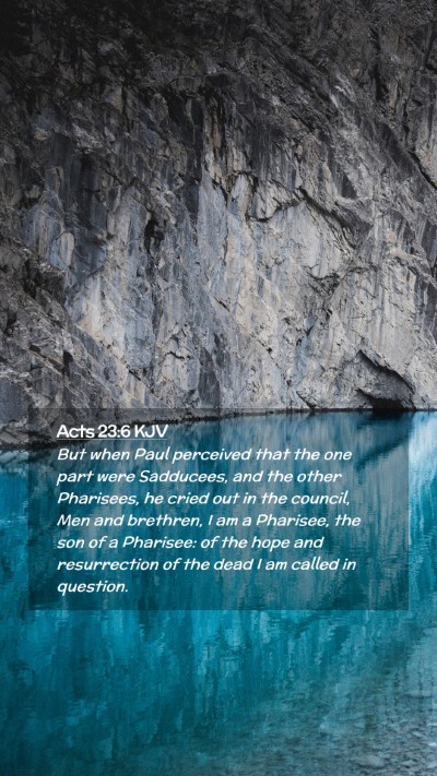 Picture 02 - Acts 23:6 KJV Mobile Phone Wallpaper - But when Paul perceived that the one part were - Mobile Bible Verse Wallpaper