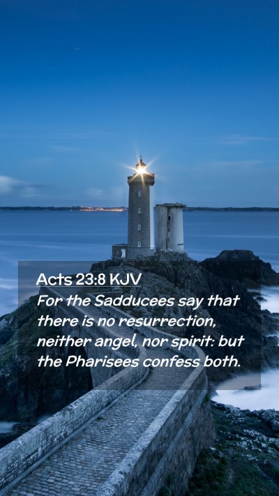 Picture 02 - Acts 23:8 KJV Mobile Phone Wallpaper - For the Sadducees say that there is no - Mobile Bible Verse Wallpaper