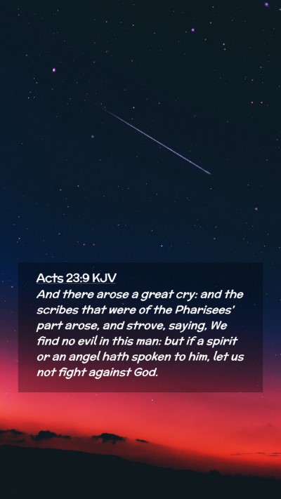 Picture 02 - Acts 23:9 KJV Mobile Phone Wallpaper - And there arose a great cry: and the scribes that - Mobile Bible Verse Wallpaper