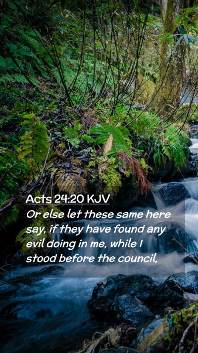Picture 02 - Acts 24:20 KJV Mobile Phone Wallpaper - Or else let these same here say, if they have - Mobile Bible Verse Wallpaper
