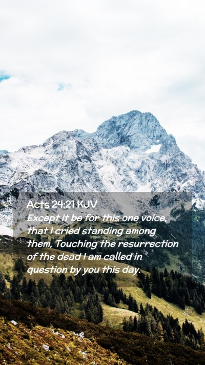 Picture 02 - Acts 24:21 KJV Mobile Phone Wallpaper - Except it be for this one voice, that I cried - Mobile Bible Verse Wallpaper