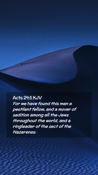 Picture 02 - Acts 24:5 KJV Mobile Phone Wallpaper - For we have found this man a pestilent fellow, - Mobile Bible Verse Wallpaper