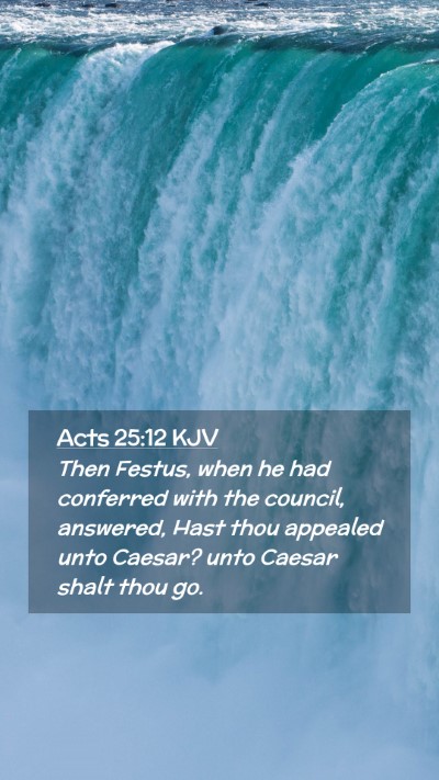 Picture 02 - Acts 25:12 KJV Mobile Phone Wallpaper - Then Festus, when he had conferred with the - Mobile Bible Verse Wallpaper