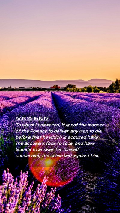 Picture 02 - Acts 25:16 KJV Mobile Phone Wallpaper - To whom I answered, It is not the manner of the - Mobile Bible Verse Wallpaper