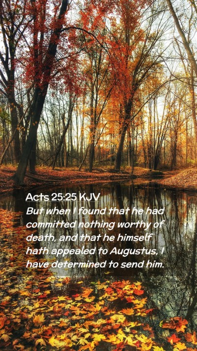 Picture 02 - Acts 25:25 KJV Mobile Phone Wallpaper - But when I found that he had committed nothing - Mobile Bible Verse Wallpaper