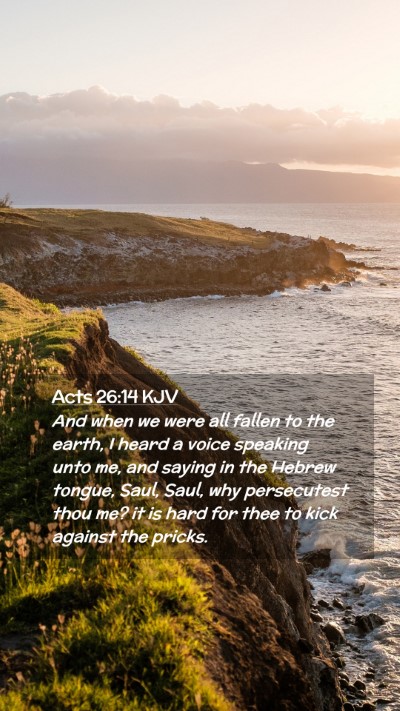 Picture 02 - Acts 26:14 KJV Mobile Phone Wallpaper - And when we were all fallen to the earth, I heard - Mobile Bible Verse Wallpaper