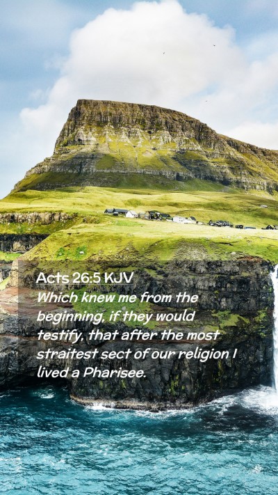 Picture 02 - Acts 26:5 KJV Mobile Phone Wallpaper - Which knew me from the beginning, if they would - Mobile Bible Verse Wallpaper