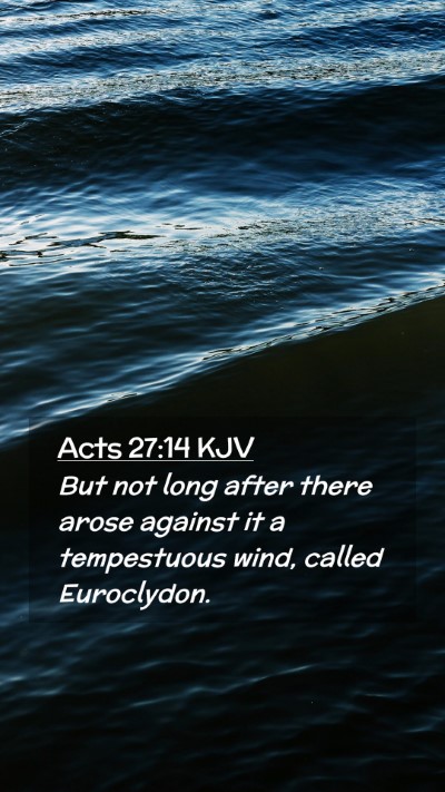 Picture 02 - Acts 27:14 KJV Mobile Phone Wallpaper - But not long after there arose against it a - Mobile Bible Verse Wallpaper