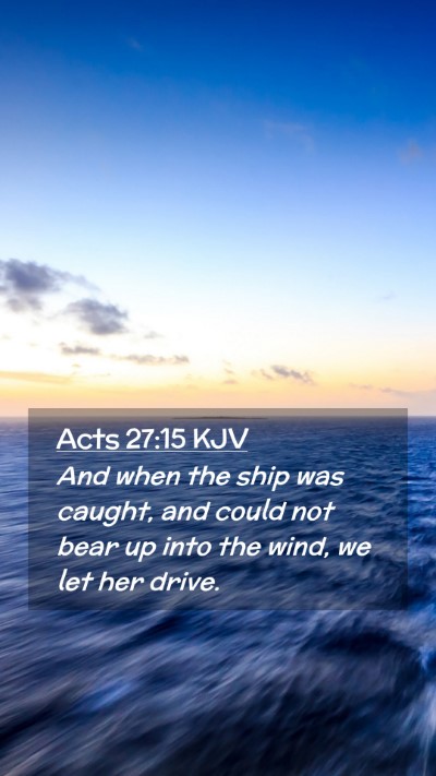 Picture 02 - Acts 27:15 KJV Mobile Phone Wallpaper - And when the ship was caught, and could not bear - Mobile Bible Verse Wallpaper
