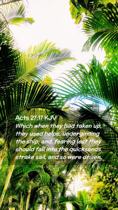 Picture 02 - Acts 27:17 KJV Mobile Phone Wallpaper - Which when they had taken up, they used helps, - Mobile Bible Verse Wallpaper