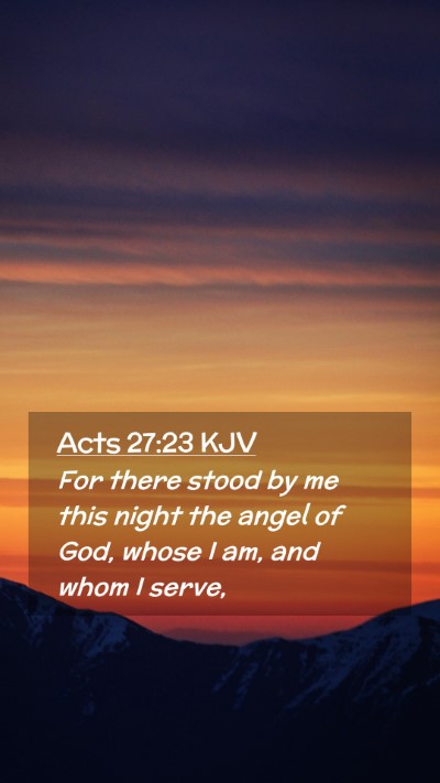 Picture 02 - Acts 27:23 KJV Mobile Phone Wallpaper - For there stood by me this night the angel of - Mobile Bible Verse Wallpaper