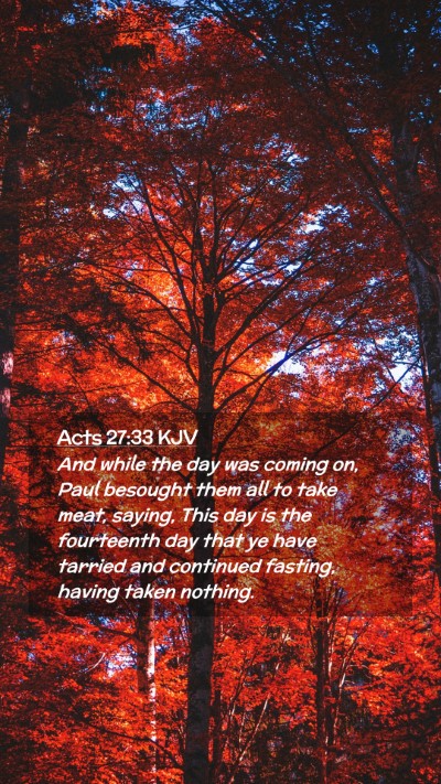 Picture 02 - Acts 27:33 KJV Mobile Phone Wallpaper - And while the day was coming on, Paul besought - Mobile Bible Verse Wallpaper